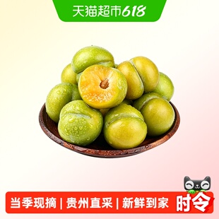 江昊阳正宗贵州六马蜂糖李新鲜水果镇宁脱骨脆李子特大早熟鲜果