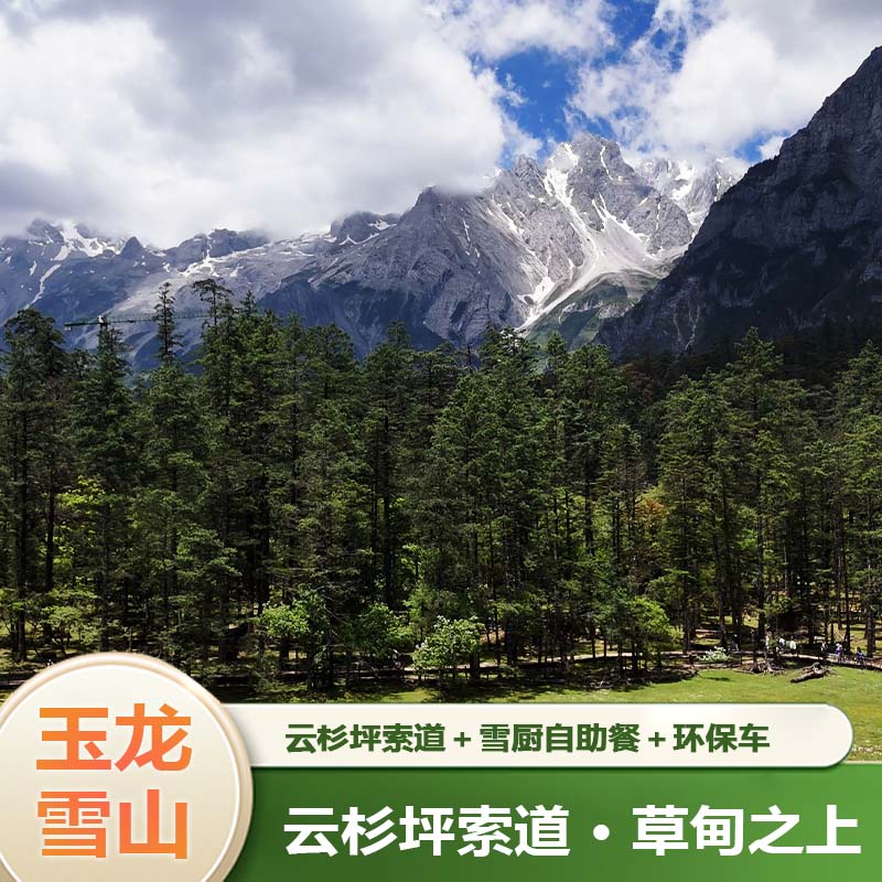 [玉龙雪山-云杉坪索道+景区环保车票+雪厨自助餐]【小索道+雪厨中餐】