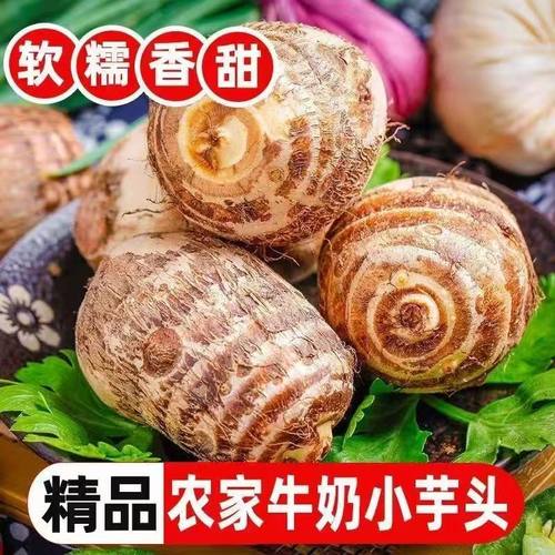 山东新鲜当季牛奶小芋头新鲜毛芋头芋艿2025当季20克+