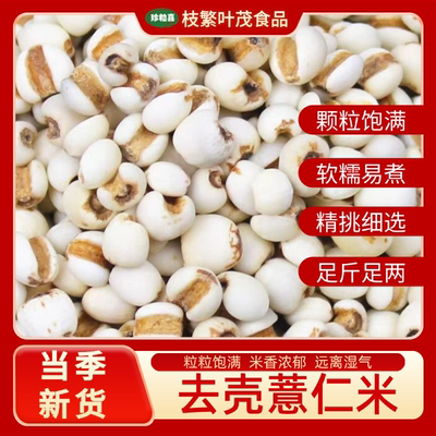 珍粒喜云南薏仁米新米大薏仁米可搭配赤豆红豆五谷杂粮粗粮油批发