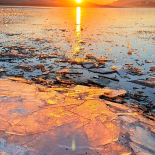 2-4人团| 伊犁6天5晚单反无人机+赛里木湖+库尔德宁+那拉提+天鹅