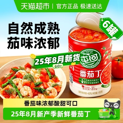 屯河新疆内蒙番茄丁罐头