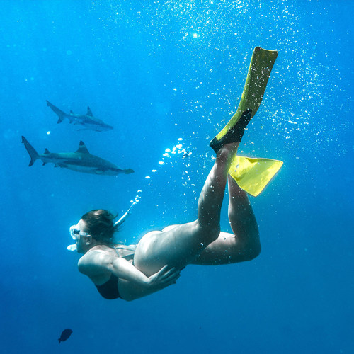 直飞斐济，可申请全国联运！落地即享接送机，无需语言沟通烦恼 斐济海水如宝石般闪耀，能见度超高，浮潜可邂逅五彩珊瑚与热带鱼群 送斐济特色欢迎礼遇（贝壳项链），一落地就感受地道海岛热情 从浅滩的蒂芙尼蓝渐变为深海的墨蓝，随手都是大片，轻松开启海岛度假