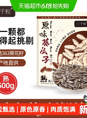 三千粒内蒙古363型号袋装原味大瓜子休闲坚果小零食500g