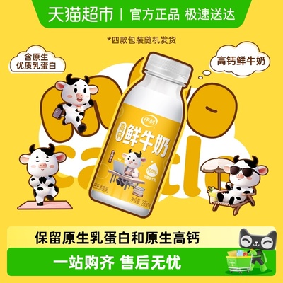 伊利高钙冷藏鲜牛奶