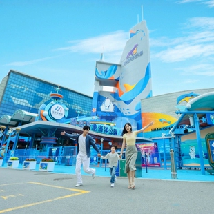 [青岛极地海洋公园-海洋公园六馆通票+摩天轮（有效期内使用）]【官方直营】活动特惠