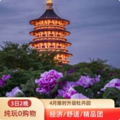 ｜老君山 洛阳参团 龙门石窟 洛阳博物馆 3日2晚 白马寺 洛阳接站