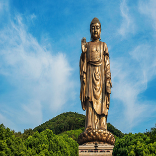 灵山大佛 大门票 无锡灵山胜境 刷身份证入园