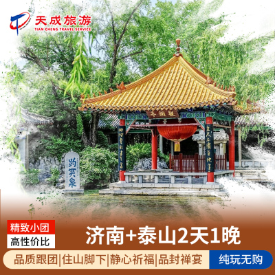 山东踏春旅游济南泰山2天1晚跟团游导游精讲舒适住宿观演非遗皮影