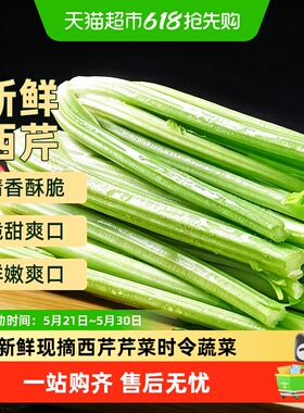 新鲜现摘西芹芹菜大颗可榨汁果蔬山东寿光时令绿色蔬菜
