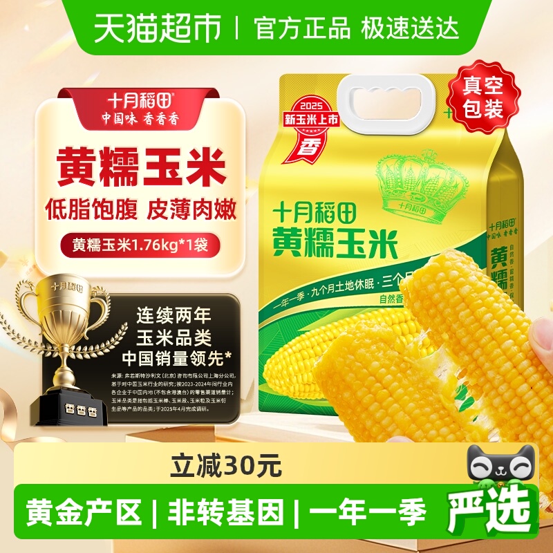 十月稻田黄糯玉米棒低脂