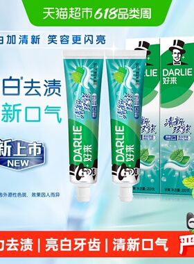 DARLIE好来(原黑人)牙膏清新双效200g*2支套装大容量清新口气