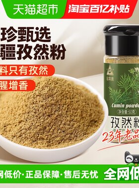 川珍孜然粉烧烤去腥增香50g