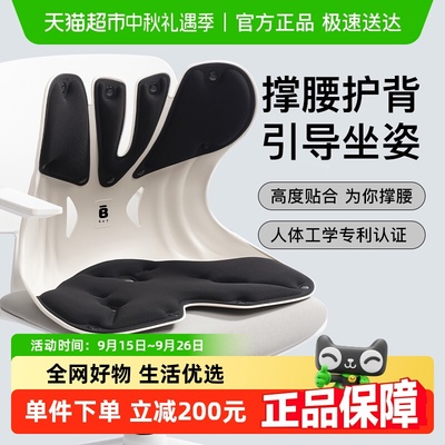 BKT护腰坐垫靠腰垫中国大陆坐垫