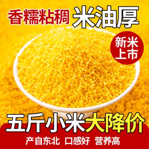 东北特产有机黄小米新米黑土地五谷杂粮小米粥养胃小米粥5斤装