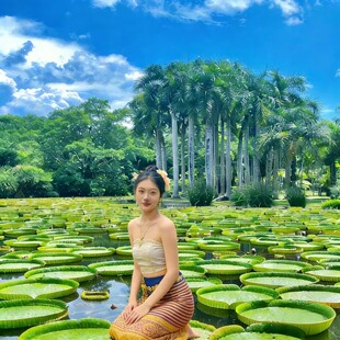 真纯玩VIP私家团云南旅游西双版 纳5天全程高档住宿飞猪蜜月亲子游