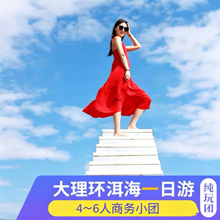 大理商务车环洱海一日游S湾+喜洲+双廊+理想邦4-6人纯玩小团