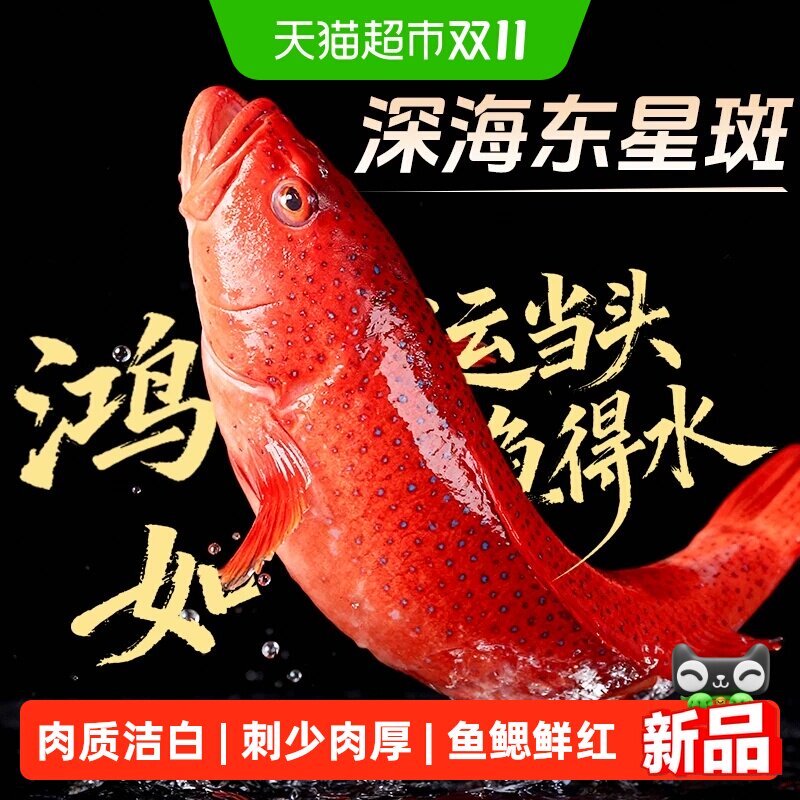 东星斑鱼鲜活冷冻海鱼石斑鱼船冻锁鲜东星斑婚宴送礼海鲜水产食材