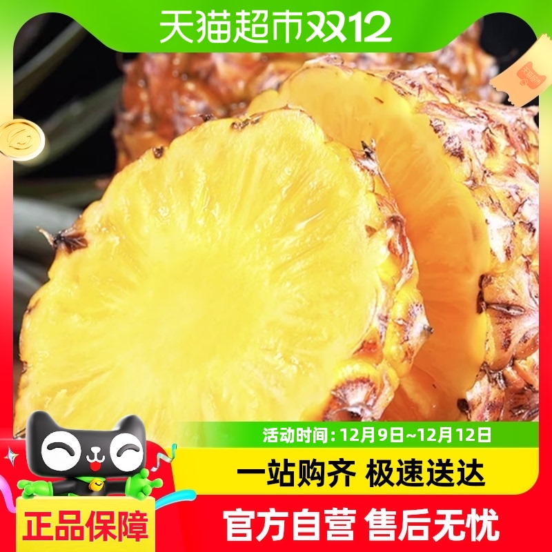 海南金钻凤梨手撕凤梨大果新鲜水果当季现摘4.5斤五眼产地直发