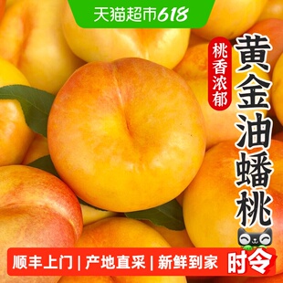 顺丰上门孙悟空大连黄金油蟠桃新鲜水果当季现摘彩虹脆甜桃子蜜桃