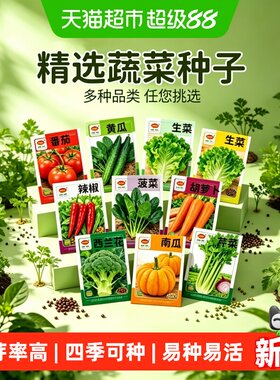 蔬菜种子四季播盆栽阳台庭院菜籽