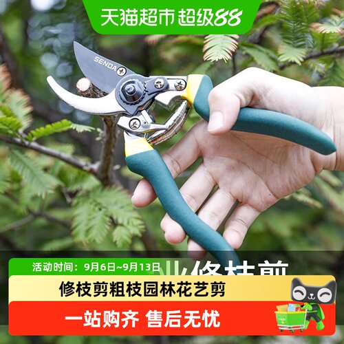 胜达修枝剪园林花艺剪刀