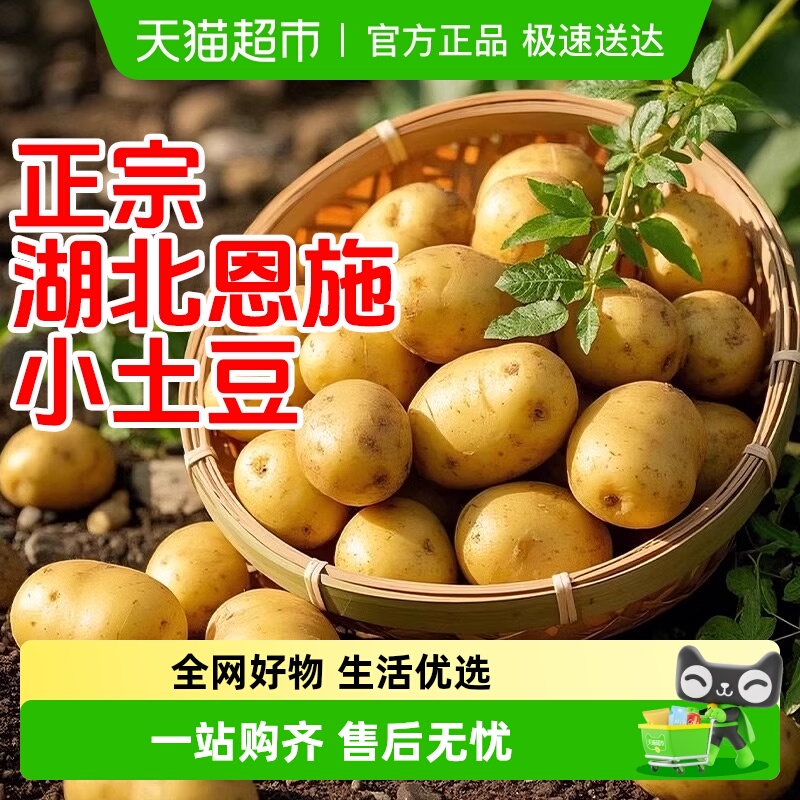 德沃多恩施小土豆当季蔬菜