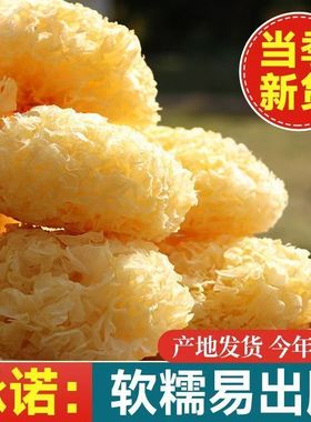 无干燥剂古田大花银耳无熏硫正宗银耳白木耳糯雪耳煲汤凉拌家用