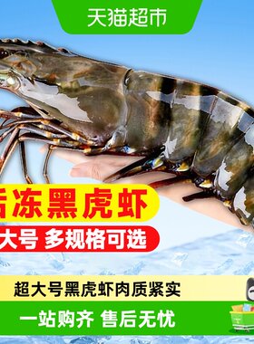 黑虎虾液氮锁鲜壳薄体肥虾青素