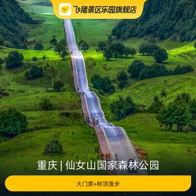[仙女山国家森林公园-大门票+树顶漫步]