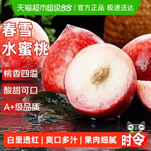 正宗春雪水蜜桃应当季新鲜水果孕妇脆桃毛桃冬桃子整箱