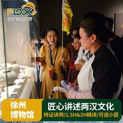 【当天可订】徐州博物馆含门票人文讲解配备蓝牙耳机2小时持证讲