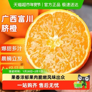 正宗广西富川脐橙应当季新鲜水果非秭归赣南奉节伦晚橙子