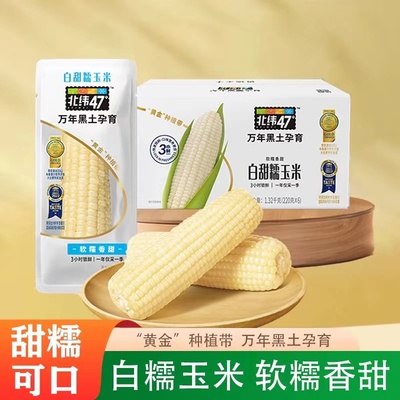 北纬47度鲜糯玉米早餐新鲜甜玉米代餐真空包装