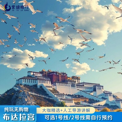 【大咖讲说】西藏拉萨布达拉宫门票1号/2号线门票预约+人工讲解