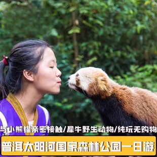 【一单一团不拼人】云南普洱太阳河国家森林公园纯玩一日游