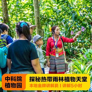 西双版纳中科院植物园景区纯玩一日游可选日夜游讲解大V导讲解