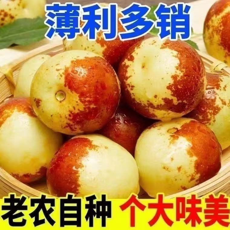 陕西大荔冬枣直发脆甜新鲜大枣果园现摘