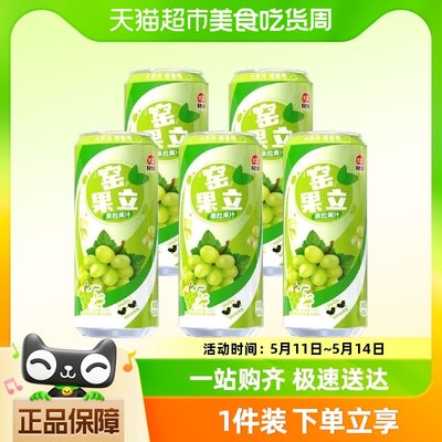 大窑窑果立490mL*5罐果汁饮料