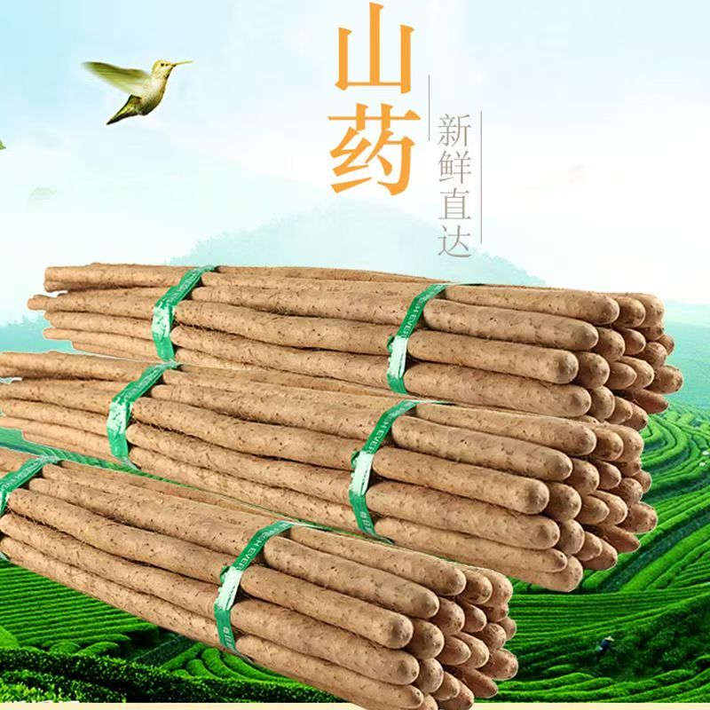 农家蔬菜小白嘴铁棒杆铁棍山药粉糯山药垆土怀淮山药新鲜多规格