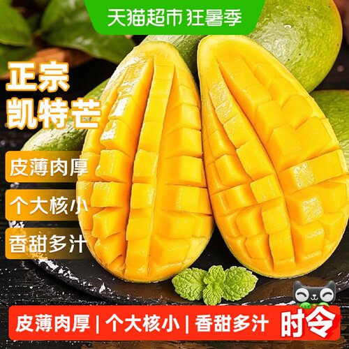 京运达云南正宗凯特芒