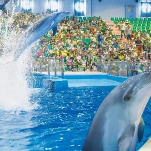 罗源湾海洋世界门票 大门票 赠决战神龙岛 福州罗源湾海洋世界