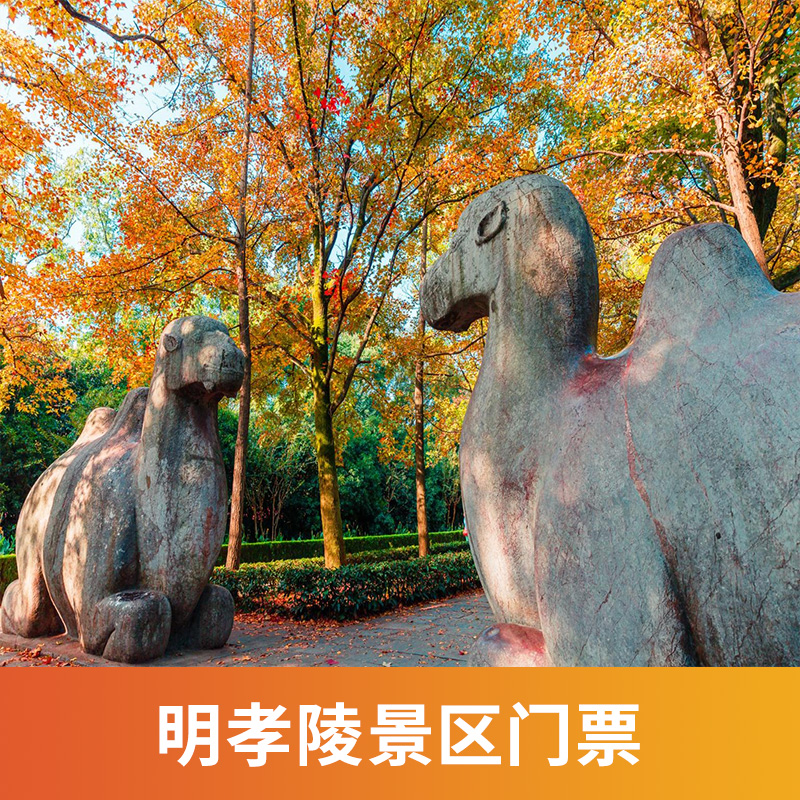 [明孝陵-大门票]江苏 南京 明孝陵 大门票