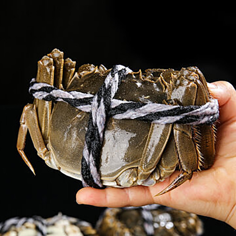 大闸蟹4.0两8只 蟹汇馆全母蟹 鲜活螃蟹现货发 中秋送礼