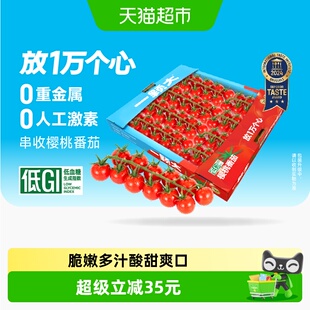 【一颗大】串收樱桃番茄甄选水果礼盒新鲜采摘酸甜多汁