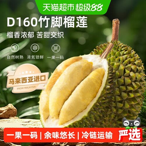 市舶士马来西亚进口D160竹脚榴莲