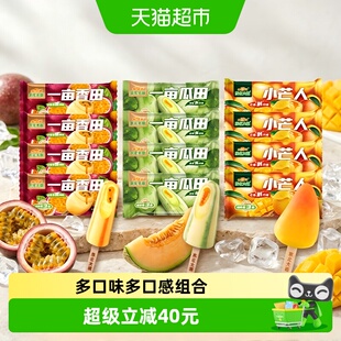 【下拉页领淘金币补贴】东北大板冰淇淋小芒人一亩瓜田雪糕