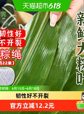 鲜窝窝大号粽子叶100片含棉线箬竹叶端午节包粽子