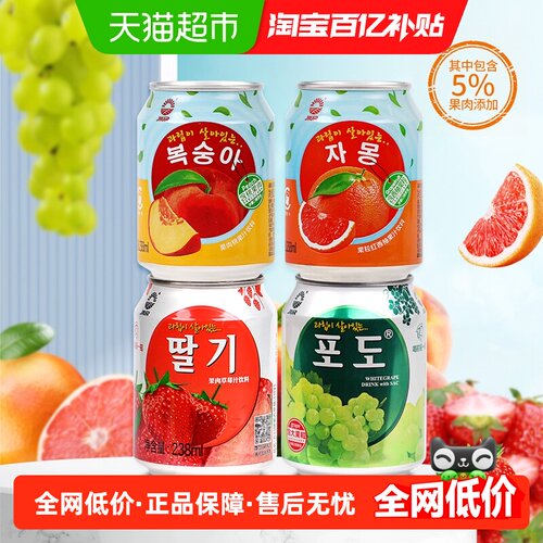 九日大果粒果汁饮料238ml×10罐