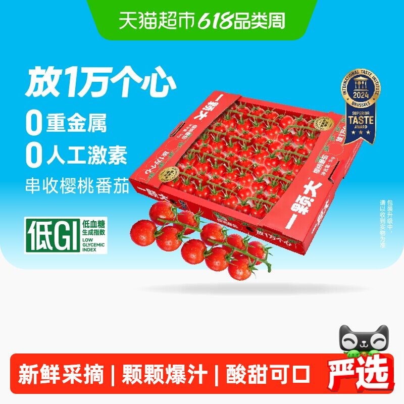 一颗大玲珑串收樱桃番茄现摘多汁